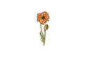 Drewniana broszka Icelandic Poppy Brooch