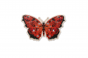 Drewniane puzzle Motyl