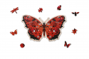 Drewniane puzzle Motyl